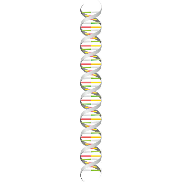 医療 DNA（遺伝子）（カラー）